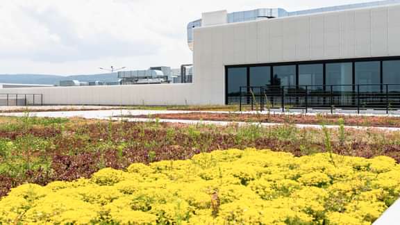 FAVORIET MLX S 15 220730 Bob Reijnders 27 36