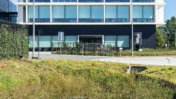 FAVORIET TOK 16 181010 via cosimco 7 10